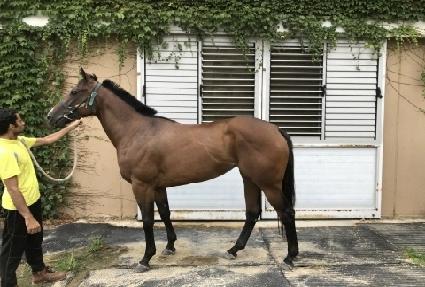 ����ó�� ����