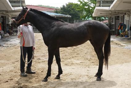 �������� ����