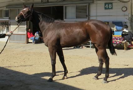 �������ö��� ����