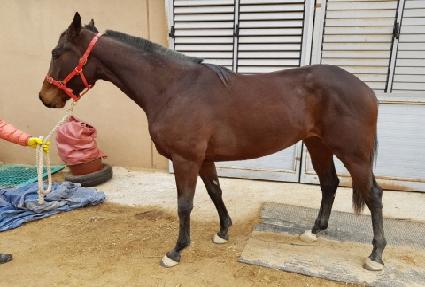 �и����Ʈ ����