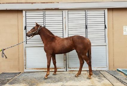 �йи�è�� ����