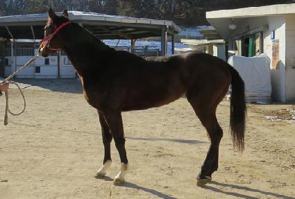 ž���� ����