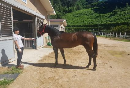 ��½��丮 ����