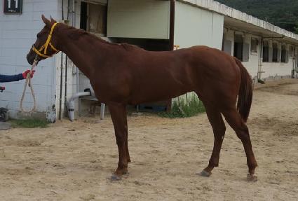 ����Ű�� ����