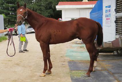 �����ϳ� ����