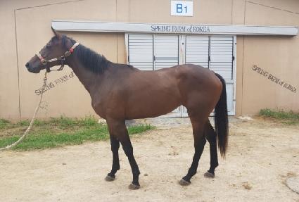 �������̽� ����