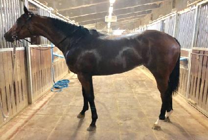 ��ŰŸ ����