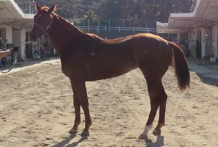 ������Ƽ ����