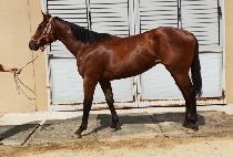 ����ְ� (DAMYANG CHOEGANG) ����