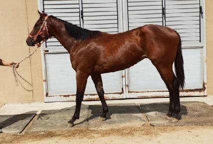 ����ְ� ����