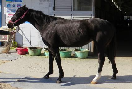 õ���ְ� ����