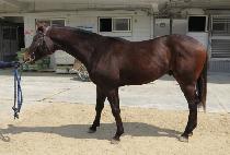 �ε��� (DU DUNG E) ����