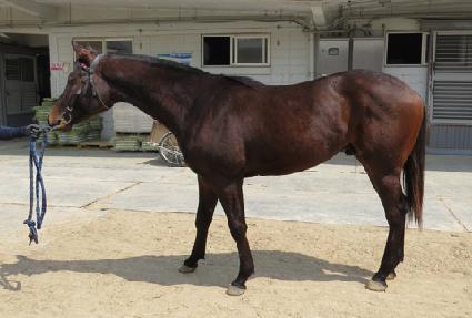 �ε��� ����