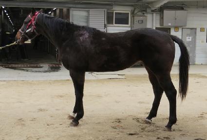 ť�ǵ��屺 ����