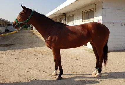 ��õ���� ����