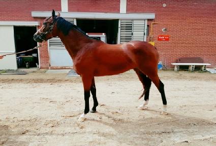 ����Ʈ���� ����