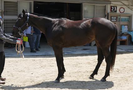 ����Ǯ���� ����