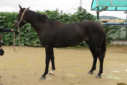 ����Ǯ���� ����