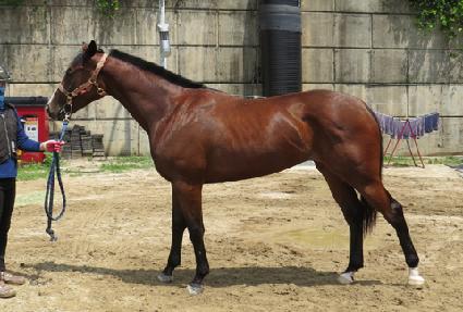 ����� ����