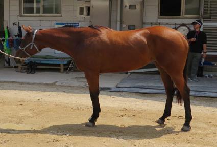 �ö���ε� ����