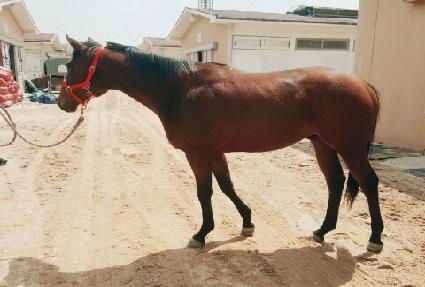 �����̺��� ����