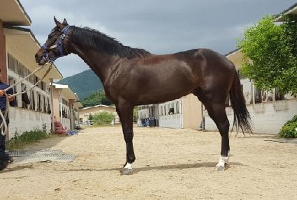 �����Ѽ��� ����