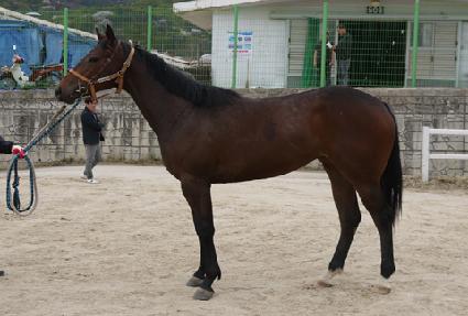 �Ѿ紩�� ����