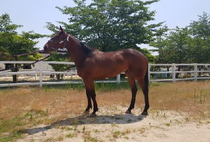 ���纸�� ����