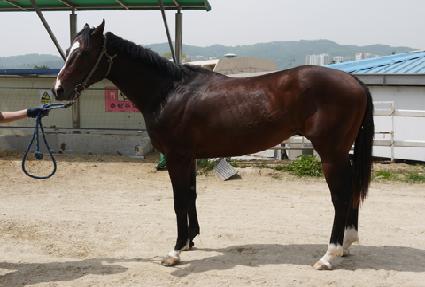 õ�� ����