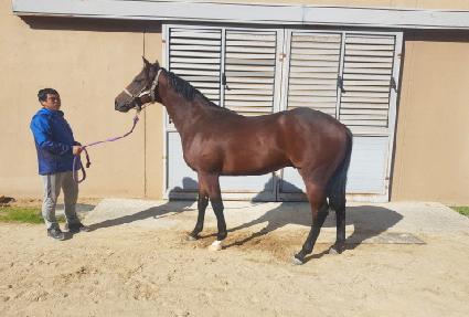 ��Ʈ���� ����