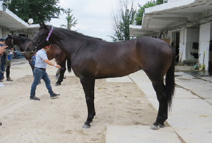 �����ǿ��� ����