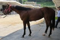 �����̺��� (PRIVATE MAN) ����