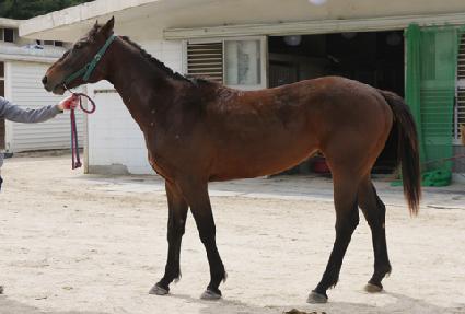 �ϳ���ġ ����