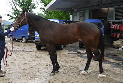 ����� ����