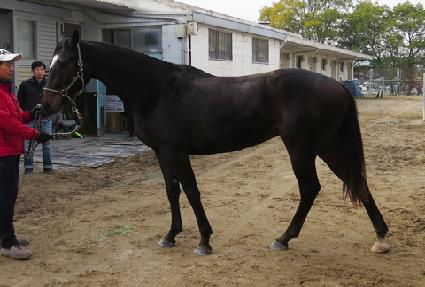 �����ũ ����