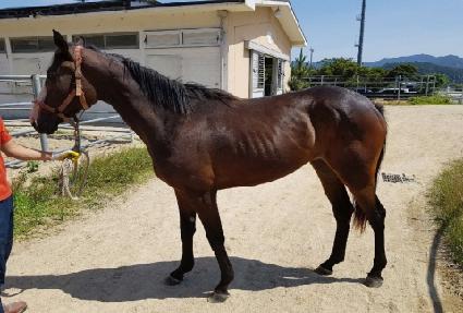 �ӽ�Ʈ���� ����