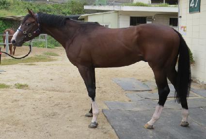 �ְ����� ����