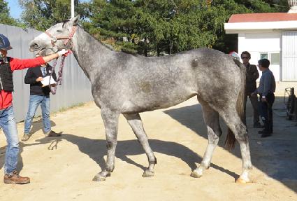 ��׺� ����