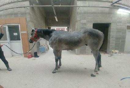 �ǹ�����Ʈ ����