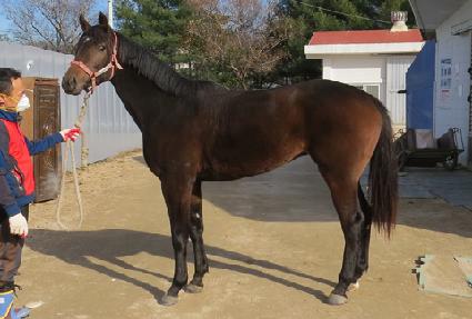 ����Ʈ�帲 ����