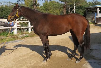 �йи���ũ ����