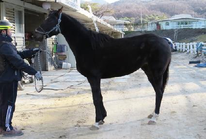 ��ī�̿��� ����