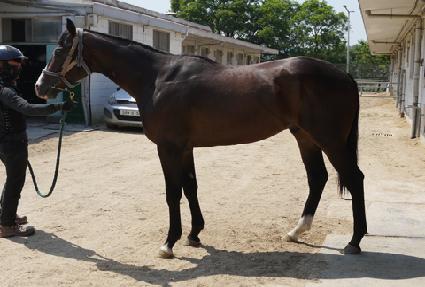 �����̱�Ȳ ����