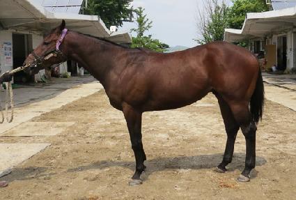 ���� ����