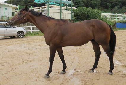 ���̽����� ����