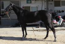 ��꿢�� (JANGSAN EX) ����