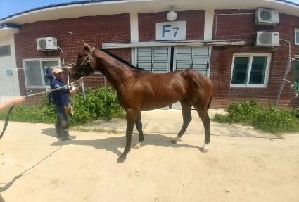 ��Ʈ��ŷ ����