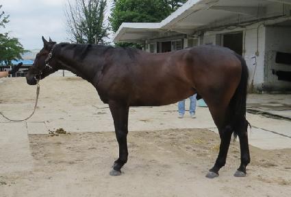 ��������̵� ����