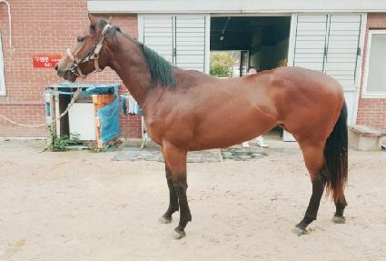 ���̽����͵� ����