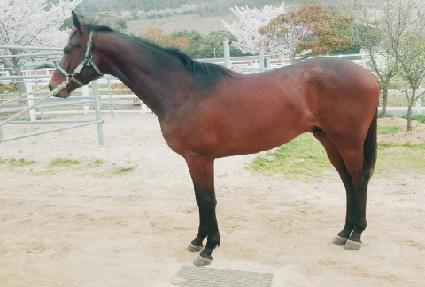 ���������� ����